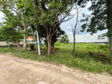 LEASE HOLD 19 ARE CEMONGKAK