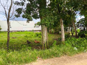 LEASE HOLD 19 ARE CEMONGKAK