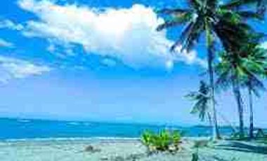 Tataran Island White sand ideal for snorkeling for sale in Palawan