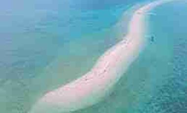 Tataran Island White sand ideal for snorkeling for sale in Palawan