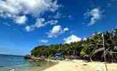 Tataran Island White sand ideal for snorkeling for sale in Palawan