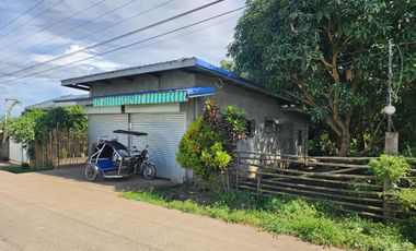 House and Lot for Sale in Samal Bataan