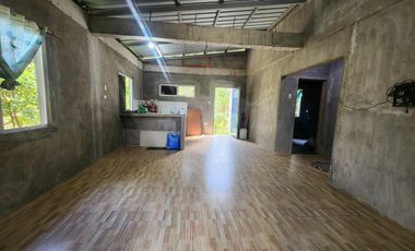 House and Lot for Sale in Samal Bataan