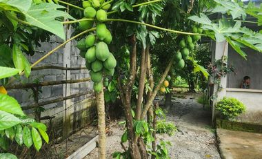 House and Lot for Sale in Samal Bataan