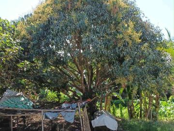 House and Lot for Sale in Samal Bataan