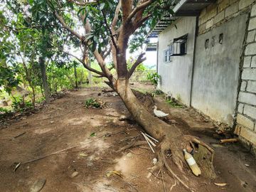 House and Lot for Sale in Samal Bataan
