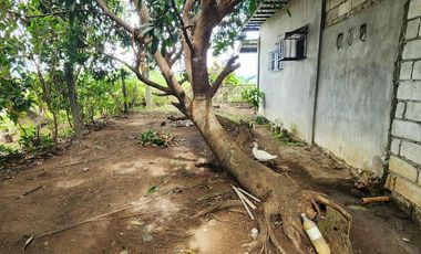 House and Lot for Sale in Samal Bataan