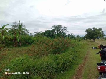 Tanah Industri Di Patrol Indramayu