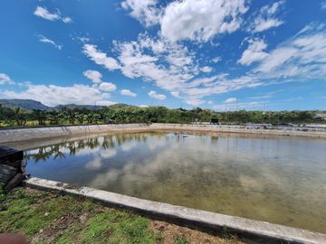 Tanah Tambak Produktif di Lokasi yang strategis Akses Langsung ke Jalan Nasiona