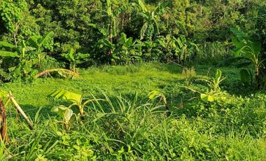 Farmlot Calatagan Batangas