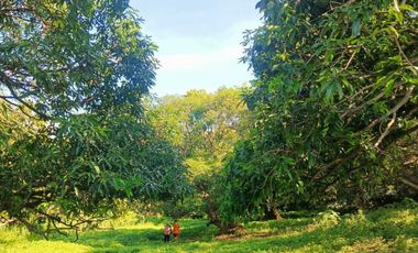 Farmlot Calatagan Batangas