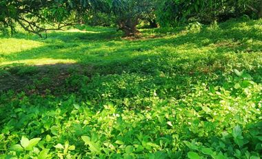 Farmlot Calatagan Batangas