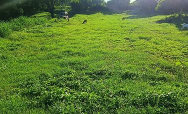 Farmlot Calatagan Batangas
