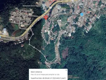 PREDIO CON HOTEL, UNA CABAÑA Y UNA GALERA EN TLANCHINOL, HIDALGO. REMATE ADJUDICADO