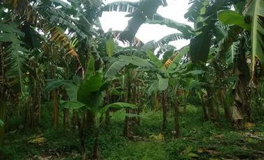 For sale Lot Silang cavite