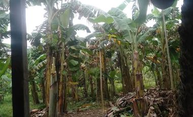 For sale Lot Silang cavite