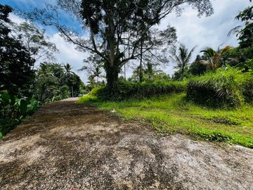 Tanah jungle payangan ubud