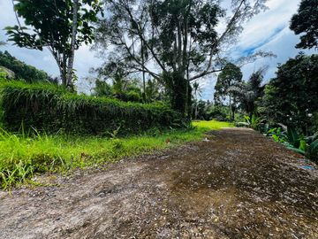 Tanah jungle payangan ubud