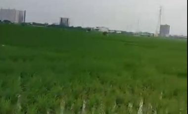 Karawang Tanah Sawah Lokasi Strategis Dekat Akses Tol