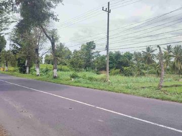 Dijual tanah dekat pasar Maesan Bondowoso