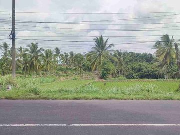 Dijual tanah dekat pasar Maesan Bondowoso