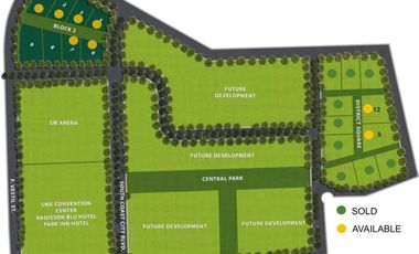 Commercial Lots For Sale at South Coast City- South Road Properties (SRP), Cebu City, Philippines