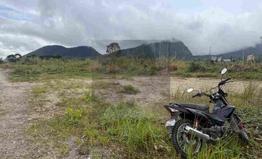 1,696 sqm Lot for Sale Along Campuestuhan Road Brgy Cabatangan Talisay City