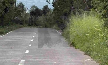 1,696 sqm Lot for Sale Along Campuestuhan Road Brgy Cabatangan Talisay City