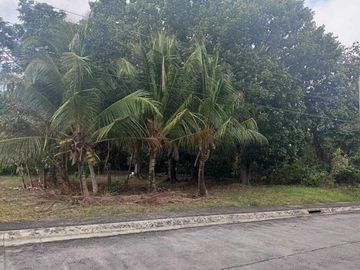 AVIDA HACIENDA STA. MONICA LOT FOR SALE