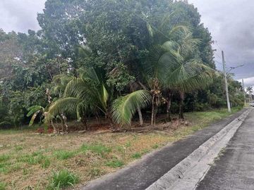 AVIDA HACIENDA STA. MONICA LOT FOR SALE