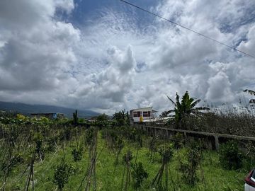 tanah kota batu dijual murah cocok untuk villa kebun