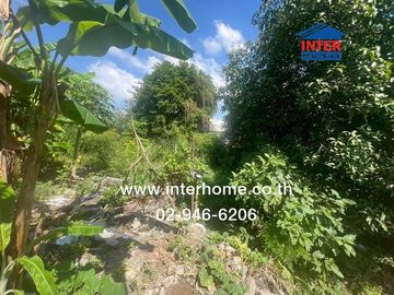 Vacant land 180 sq.w. Land, Soi Tesaban 3, Pathum Thani-Sam Khok-Sena Road (3111), Pathum Thani-Bang Len Road, Sam Khok, Pathum Thani