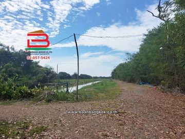 ที่ดินเปล่า เนื้อที่ 44-0-96 ไร่ หนองเสือ คลอง 11, ใกล้วัดป่าคลอง11 ถนนรังสิต-นครนายก ตำบลบึงกาสาม อำเภอหนองเสือ ปทุมธานี