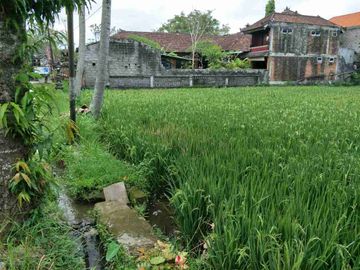 Tanah Sewa Strategis Zona Perdagangan Jasa di Tengkulak Mas - Kemenuh