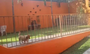 Lomas De La Selva Cuernavaca Se Vende Casa Sola Privada 4 Recamaras