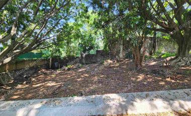 TERRENO EN VENTA EN LOMAS DE CORTES