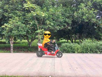 Dijual murah tanah pinggir Jl. Tembong, Kec. Pabuaran, Kab. Serang, LT.3339 m2, SHM