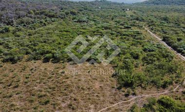 TERRENO EN VENTA EN TETECALA MORELOS