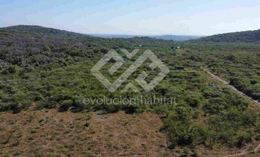 TERRENO EN VENTA EN TETECALA MORELOS