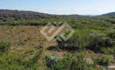 TERRENO EN VENTA EN TETECALA MORELOS