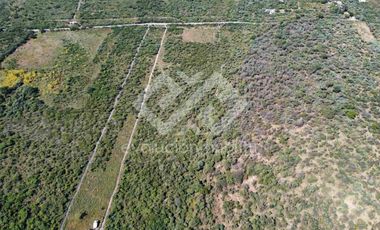 TERRENO EN VENTA EN TETECALA MORELOS