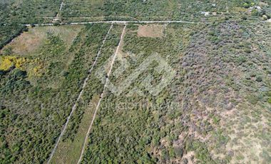 TERRENO EN VENTA EN TETECALA MORELOS
