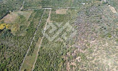 TERRENO EN VENTA EN TETECALA MORELOS