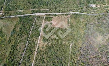 TERRENO EN VENTA EN TETECALA MORELOS