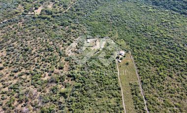TERRENO EN VENTA EN TETECALA MORELOS