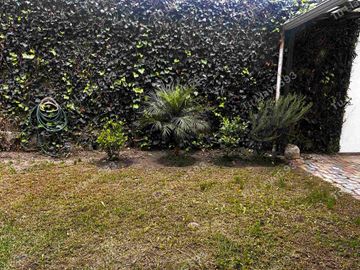 VENDO CASA DE LUJO SECTOR GUÁPULO CUATRO DORMITORIOS- INDEPENDENDIENTE