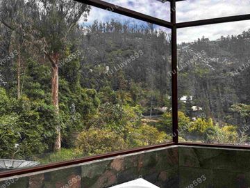 VENDO CASA DE LUJO SECTOR GUÁPULO CUATRO DORMITORIOS- INDEPENDENDIENTE
