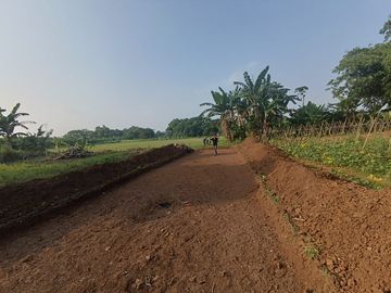9 Menit Stasiun Jatake Kavling Murah Cisauk 1 Juta-an/m2