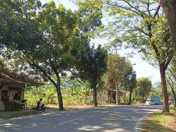 tanah BU ± 5 hektar 250rb/m²
di tanjungsari Cariu