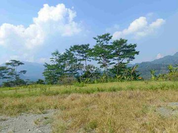 tanah BU ± 5 hektar 250rb/m²
di tanjungsari Cariu